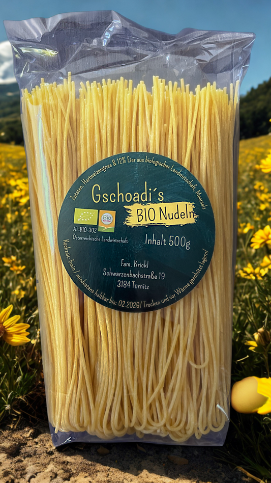 Spaghetti Nudeln Bio 500g