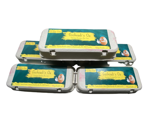 Karton BIO Eier gekocht